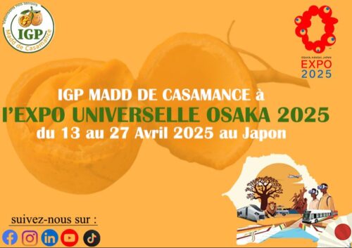 Lire la suite à propos de l’article IGP Madd de Casamance présent à l&rsquo;EXPO UNIVERSELLE OSAKA 2025