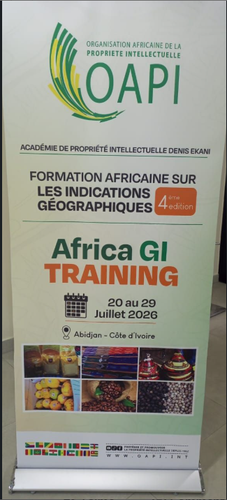 Lire la suite à propos de l’article Les 23 et 24 juillets derniers, notre directeur, M. Kanouté, a pris part à l&rsquo;Africa GI Training, la formation africaine dédiée aux Indications Géographiques (IG).